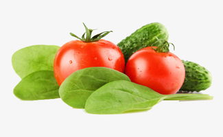 探索绿色蔬菜之美 高清免费素材图推荐