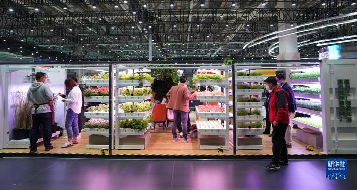 进博会上看“集装箱里种菜” 科技赋能农业新变革
