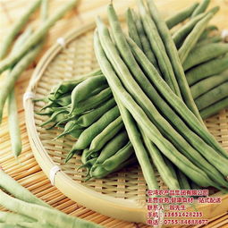 宏鸿农产品集团 以专业配送引领有机蔬菜新风尚