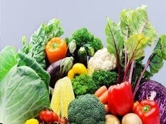 无锡蔬菜配送中心 现代都市农业与高效供应链的苗木根基